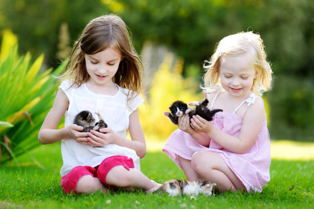 istock Two adorable little sisters playing with small newborn kittens 843760290