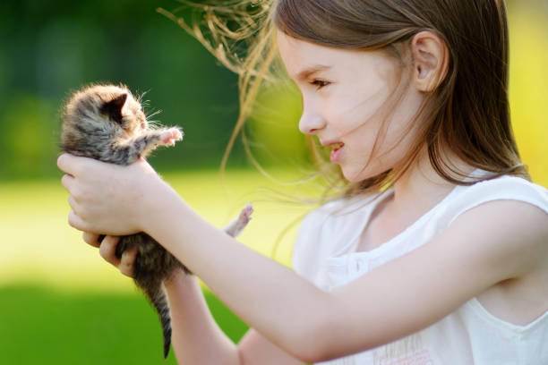 istock Adorable little girl playing with small kitten 843762820