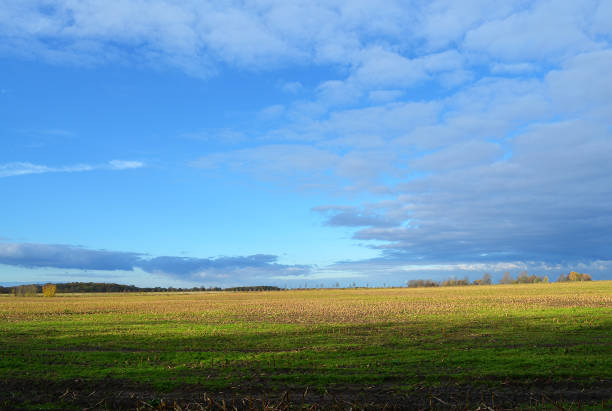 istock The surrounding countryside of Berlin 843763012