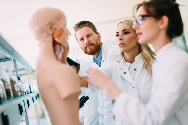 istock Students of medicine examining anatomical model in classroom 843763286