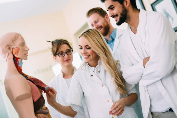 istock Students of medicine examining anatomical model in classroom 843763394