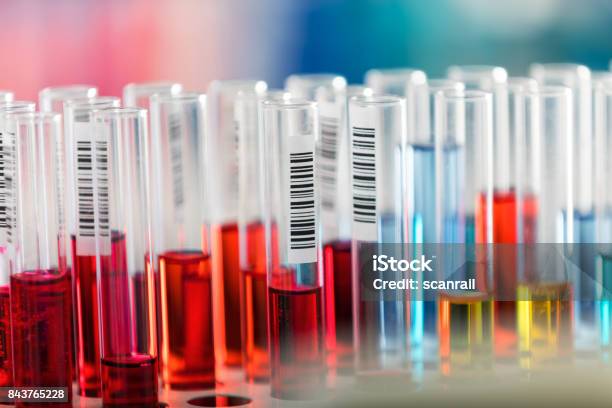 Test Tubes In Chemical Laboratory Stock Photo - Download Image Now - Pharmaceutical Manufacturing Machine, Biotechnology, Blood