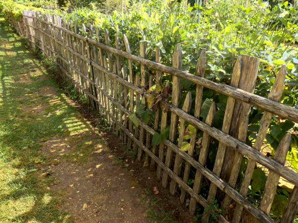 recinto rustico picchetto - picket fence grass gardens nature foto e immagini stock