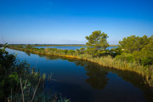 Abenddämmerung im Nationalpark Neusiedlersee im Burgenland, Österreich, Europa, Eurasien