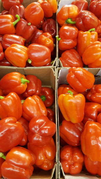 istock Red peppers lying in a boxes in the supermarket 843778124