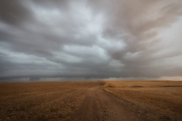 istock Stormy clouds over the path in the field 843778404