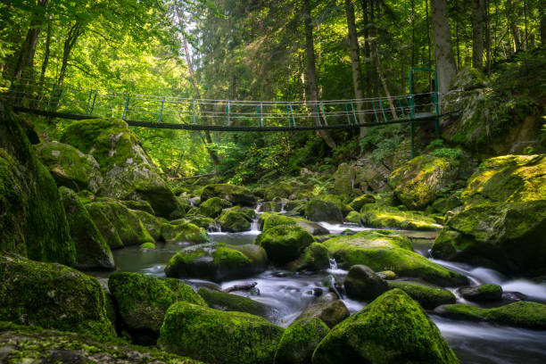 istock Buchberger Leite Wildbachklamm Natural River 843778698