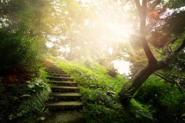 istock beautiful peaceful Landscape; path in the old park 843779358