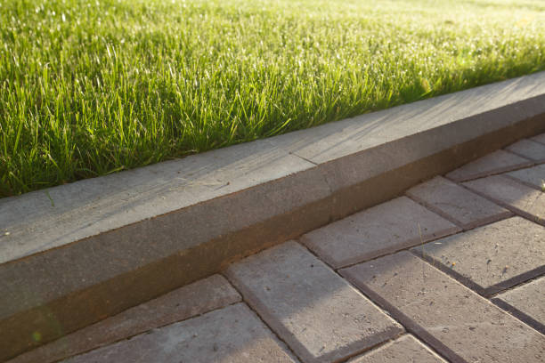 istock road and lawn divided by a concrete curb 843785212
