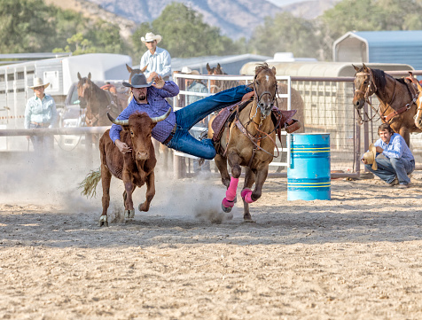 Cowboy get ready to take down a steer in a steer wrestling competition at a rodeo