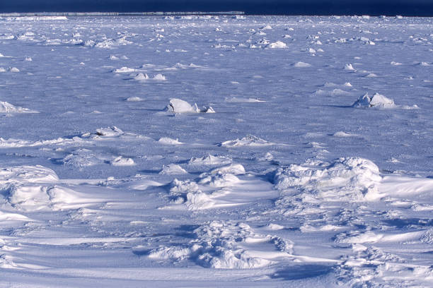 istock Snowy Canadian Arctic Landscape 843787100
