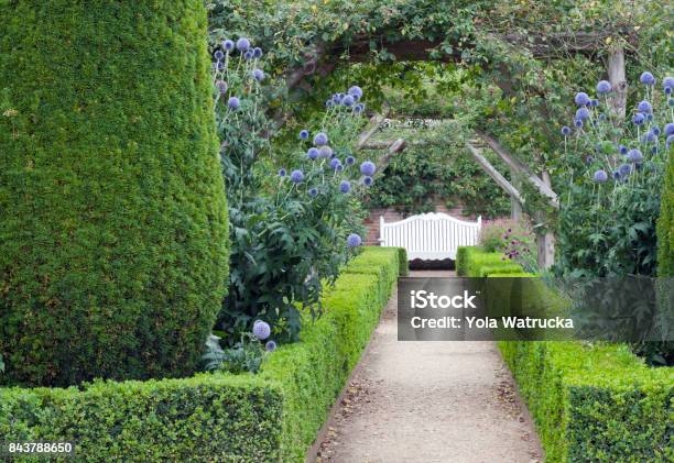Summer Garden With A Bench Under Rose Arch And Trimmed Hedge Stock Photo - Download Image Now