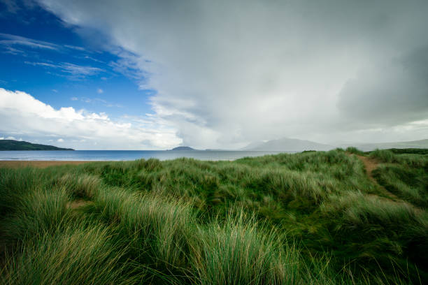 istock Sandy dunes and wild grasses along the coast 843794508