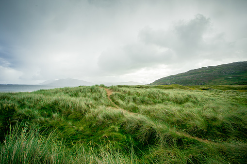 Wild grass covers the sand dunes along a beautiful beach in Ireland.