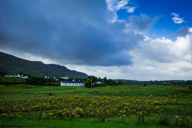 istock Grasslands of Ireland 843800120