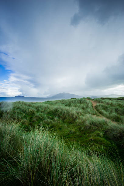 istock Grasslands of Ireland 843800122