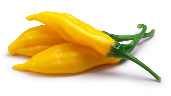 Aji Lemon Drop chile peppers (Capsicum baccatum). Clipping paths, shadow separated