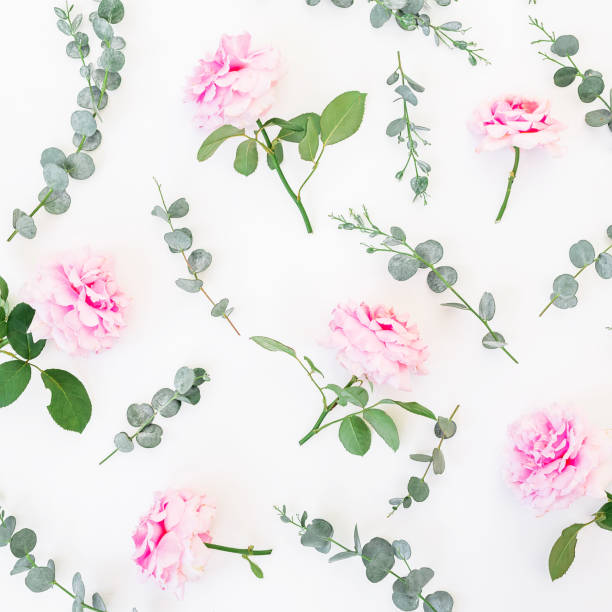 istock Pattern made of pink flowers and eucalyptus branches on white background. Flat lay, top view. Valentine's background 843803372