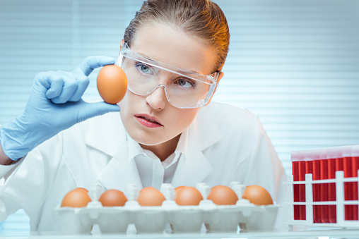 Scientist testing chicken eggs in laboratory