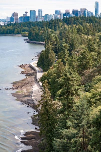 istock Vancouver and Stanley Park from Lions' Gate Bridge 843809914