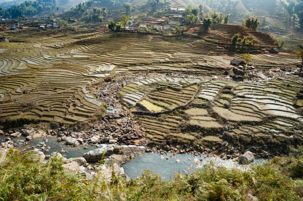 istock Rice Terraces Near Sapa In Vietnam 843813806