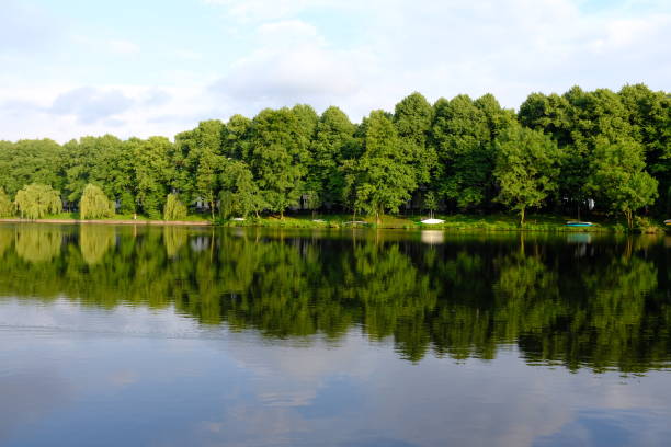 istock trees near the lake - peaceful scene - reflections 843816502