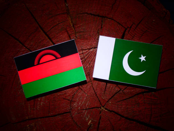 istock Malawi flag with Pakistan flag on a tree stump isolated 843827044