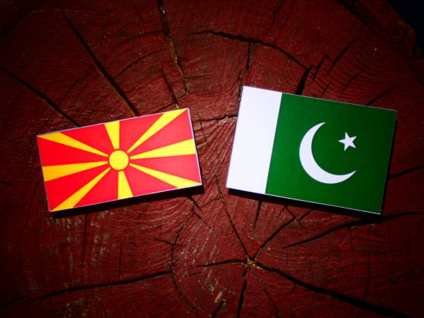 istock Macedonian flag with Pakistan flag on a tree stump isolated 843827460