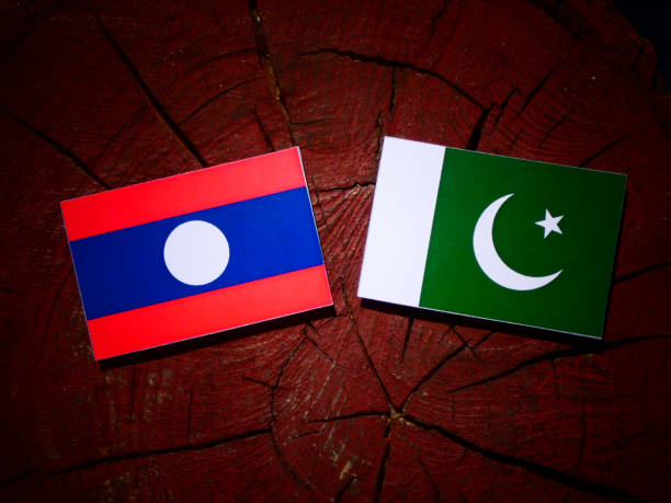 istock Laos flag with Pakistan flag on a tree stump isolated 843827522