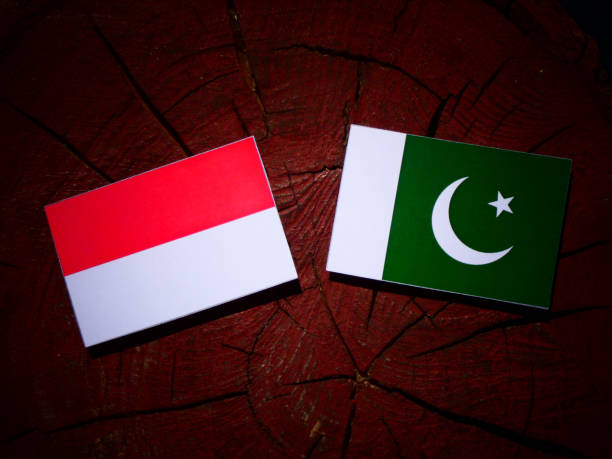 istock Indonesian flag with Pakistan flag on a tree stump isolated 843829946