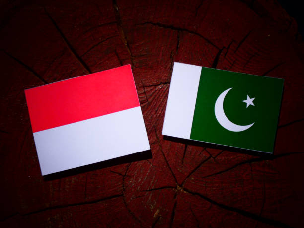 istock Monaco flag with Pakistan flag on a tree stump isolated 843830874
