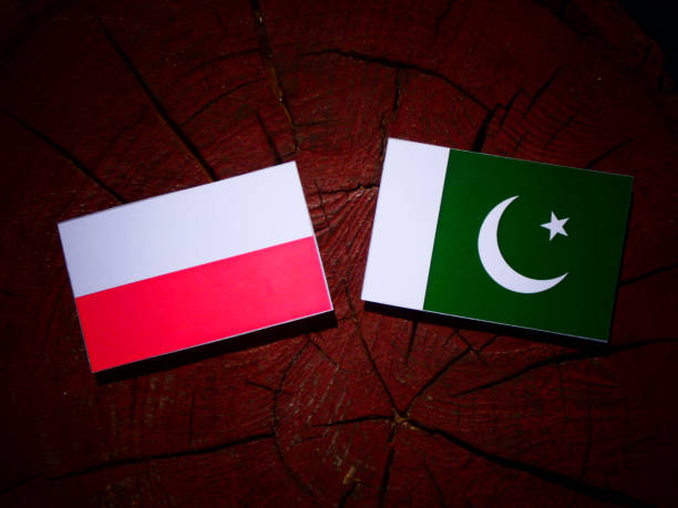 istock Polish flag with Pakistan flag on a tree stump isolated 843830896