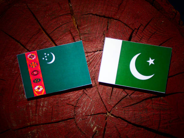 istock Turkmenistan flag with Pakistan flag on a tree stump isolated 843833568