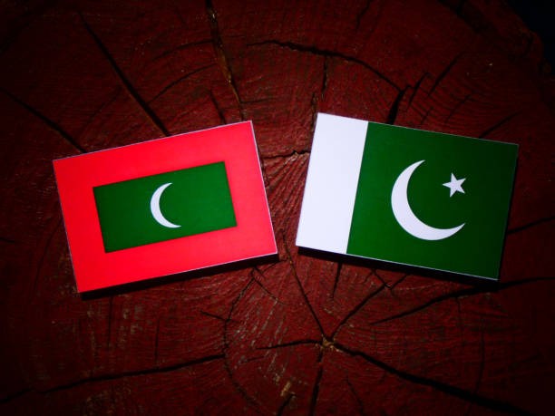 istock Maldives flag with Pakistan flag on a tree stump isolated 843833574