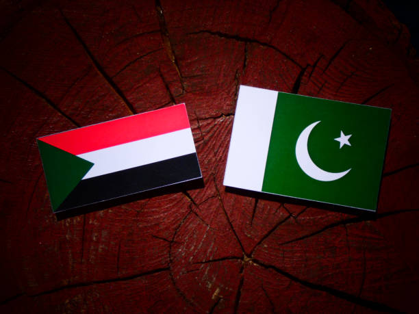 istock Sudan flag with Pakistan flag on a tree stump isolated 843833846
