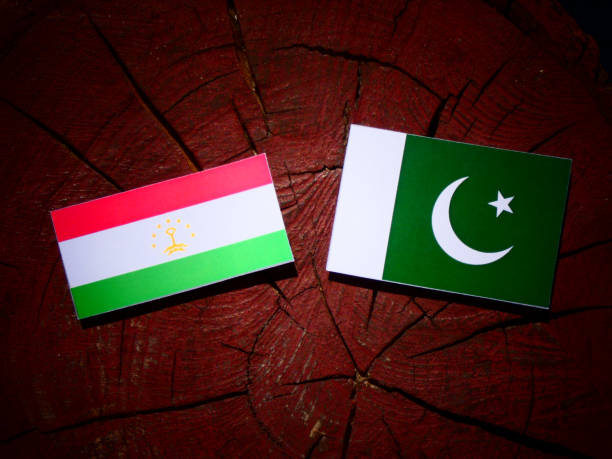 istock Tajikistan flag with Pakistan flag on a tree stump isolated 843836478