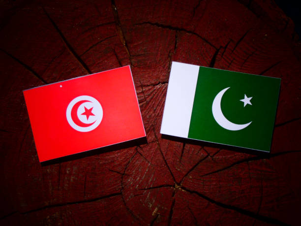 istock Tunisian flag with Pakistan flag on a tree stump isolated 843836698
