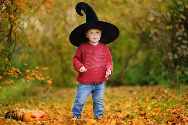 istock Toddler boy in pointed hat playing with magic wand outdoors 843839310