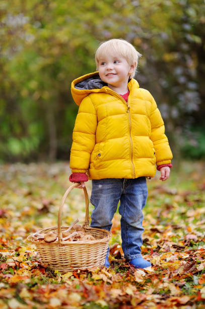 istock Cute little boy picking mushroom in basket 843839326
