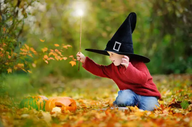 Toddler boy in pointed hat playing with magic wand outdoors. Little wizard