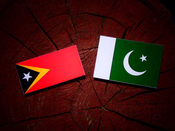 istock East Timorese flag with Pakistan flag on a tree stump isolated 843843262