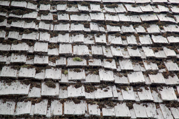 full frame Old cedar shake roof shingles covered with moss, lichen and fungus