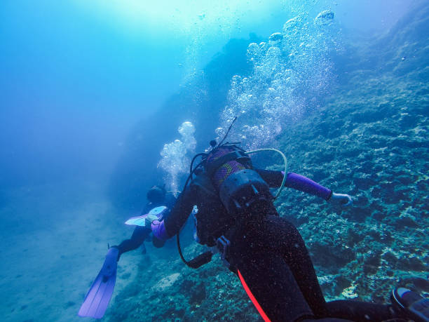 istock Scuba Divers Exploring The Underwater Landscape 843856506