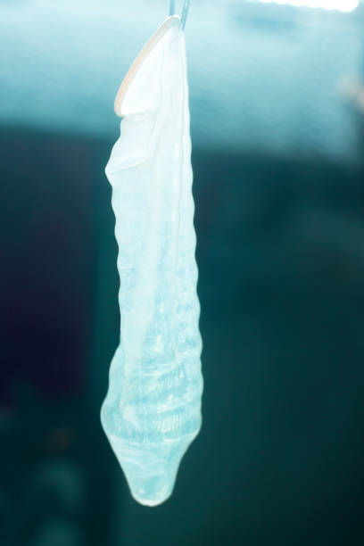 istock Rubber latex condom male contraceptive 843856998