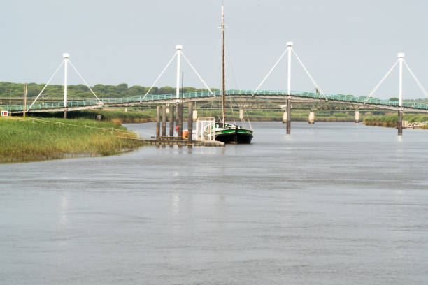 Fishing Boat in River Near Bridge