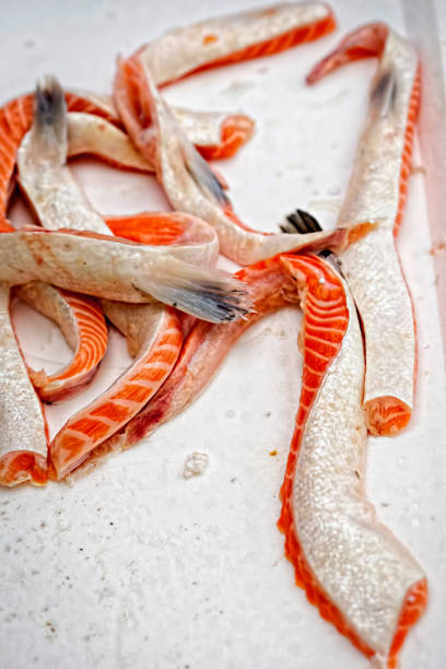 Salmon belly cuts on fish market