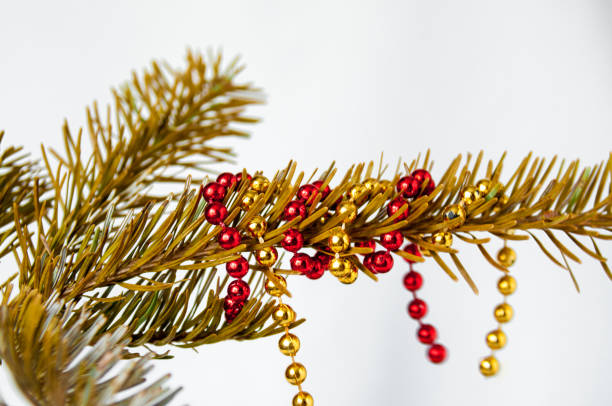 istock Gold and red beads hang on a spruce branch 843867816