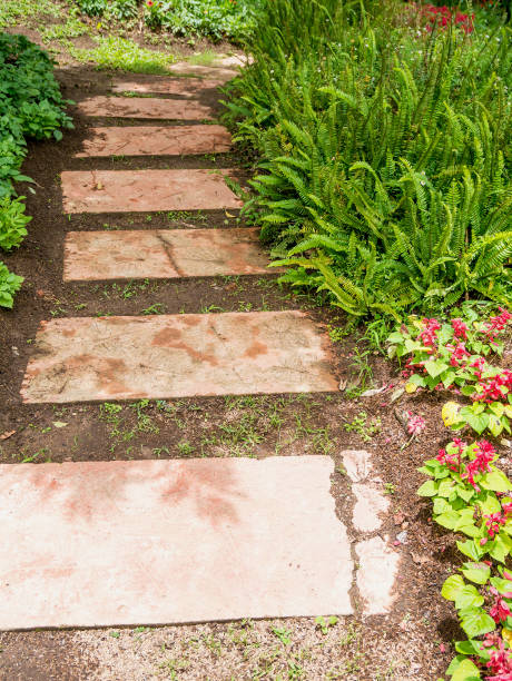 istock Walkway in the flowers garden 843877734