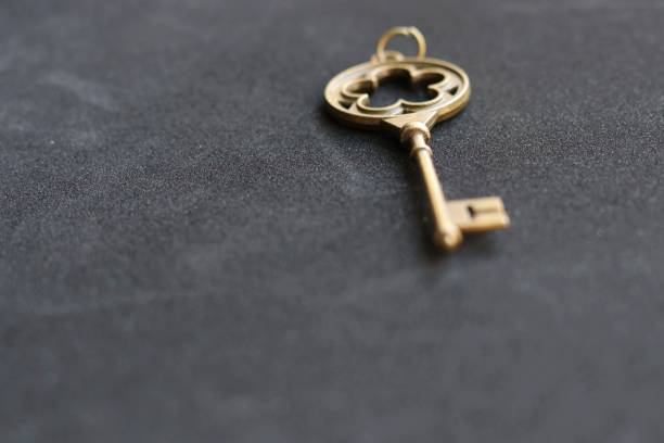 istock The antique key gold color retro style  put on black background 843884608