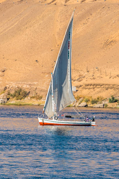 istock The Sunset during cruise on the Nile, Egypt 843888230